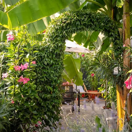 Deluxe Perla * Πόρετς