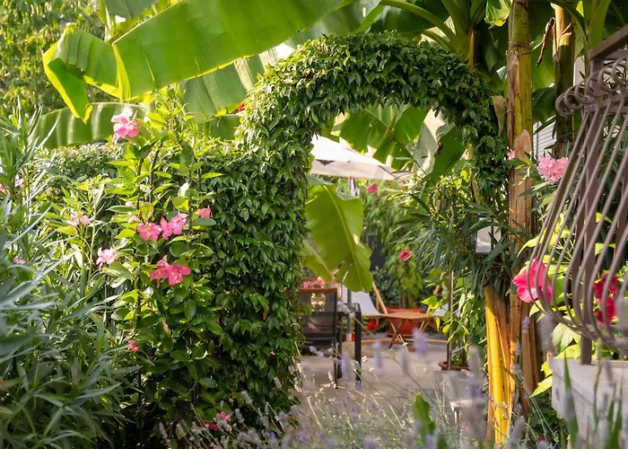 Deluxe Perla * Porec